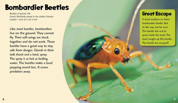 Brilliant Beetles: A 4D Book