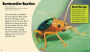 Alternative view 4 of Brilliant Beetles: A 4D Book