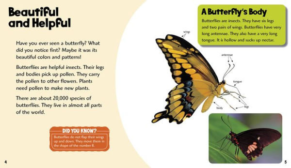 Beautiful Butterflies: A 4D Book