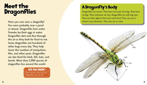 Dashing Dragonflies: A 4D Book