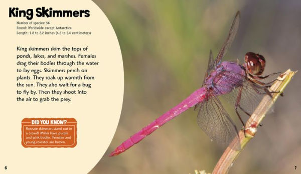 Dashing Dragonflies: A 4D Book