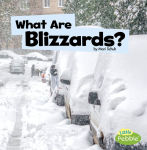 Alternative view 1 of What Are Blizzards?