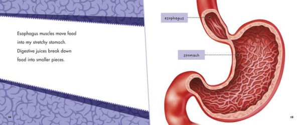 My Digestive System: A 4D Book