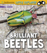 Title: Brilliant Beetles: A 4D Book, Author: Melissa Higgins