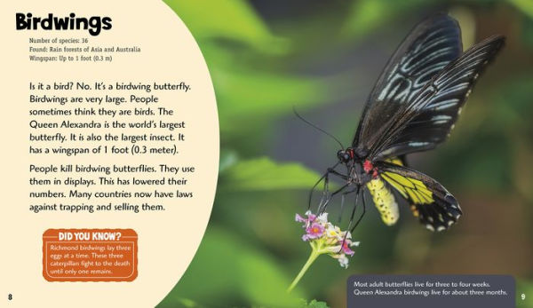 Beautiful Butterflies: A 4D Book