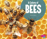 Title: A Colony of Bees, Author: Lucia Raatma