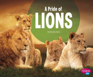 Title: A Pride of Lions, Author: Amy Kortuem