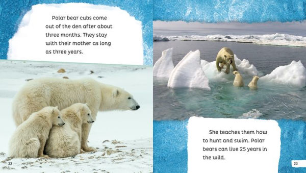 Polar Bears Are Awesome