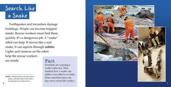 Safety Inventions Inspired by Nature
