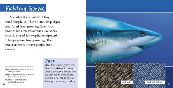 Safety Inventions Inspired by Nature