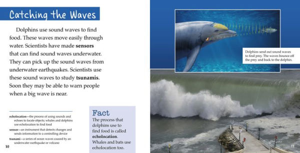Safety Inventions Inspired by Nature