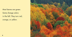 Alternative view 3 of Leaves