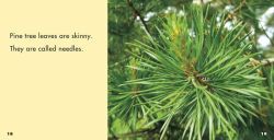 Alternative view 5 of Leaves