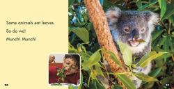 Alternative view 6 of Leaves