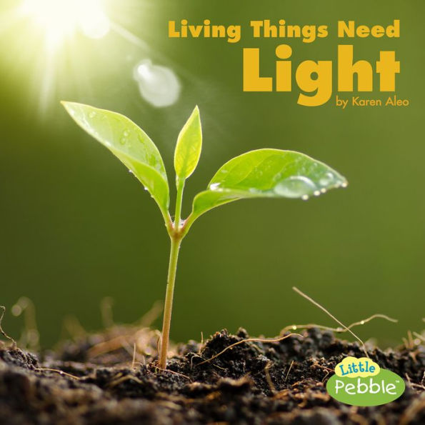 Living Things Need Light