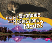 Alternative view 1 of How Are Shadows and Reflections Made?