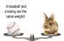 Alternative view 5 of How Many Llamas Does a Car Weigh?: Creative Ways to Look at Weight