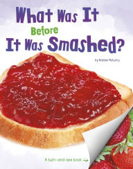 Title: What Was It Before It Was Smashed?, Author: Kristen McCurry