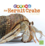 Caring for Hermit Crabs: A 4D Book