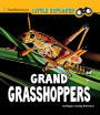 Grand Grasshoppers: A 4D Book