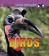 Title: Birds: A 4D Book, Author: Sally Lee