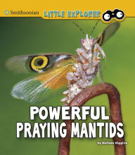 Title: Powerful Praying Mantids, Author: Melissa Higgins