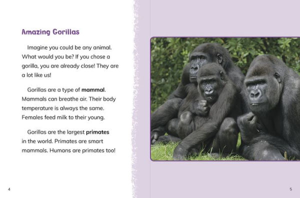 Gorillas