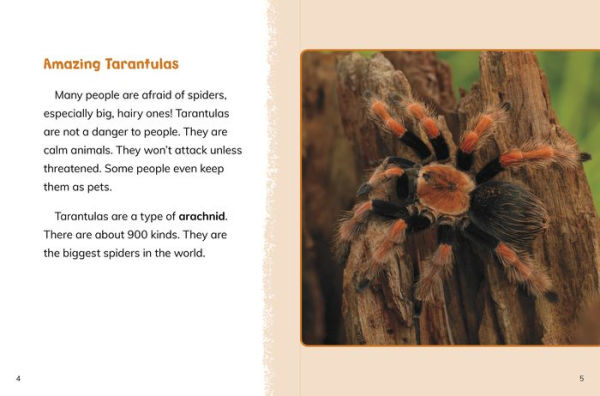Tarantulas
