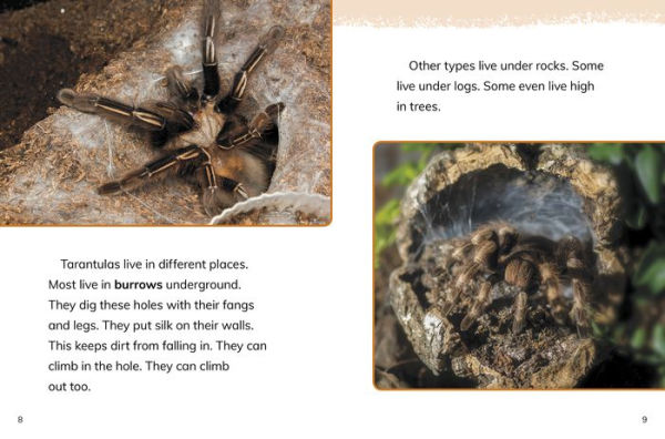 Tarantulas