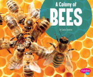 Title: A Colony of Bees, Author: Lucia Raatma