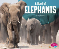 Title: A Herd of Elephants, Author: Amy Kortuem