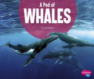 Title: A Pod of Whales, Author: Lucia Raatma
