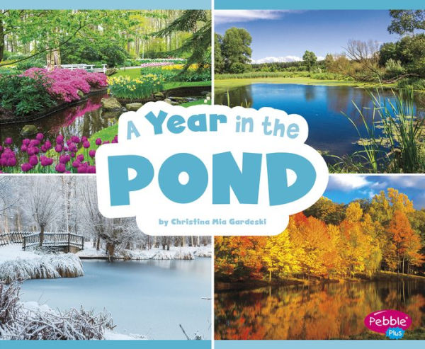 A Year in the Pond