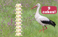 Alternative view 3 of How Many Flamingos Tall Is a Giraffe?: Creative Ways to Look at Height