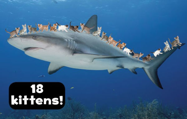 How Many Kittens Could Ride a Shark?: Creative Ways to Look at Length