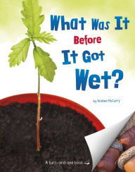 Title: What Was It Before It Got Wet?, Author: Kristen McCurry