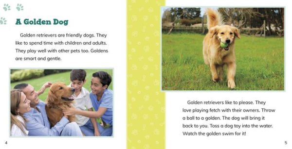 Fast Facts About Golden Retrievers