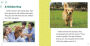 Alternative view 2 of Fast Facts About Golden Retrievers