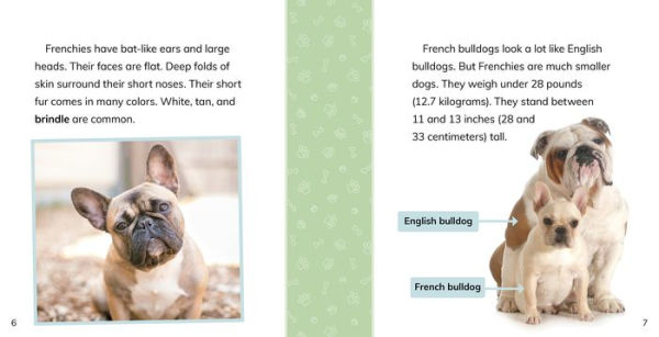 Fast Facts About French Bulldogs
