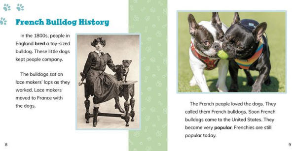 Fast Facts About French Bulldogs
