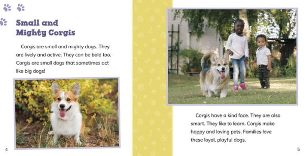 Fast Facts About Corgis