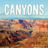 Title: Canyons, Author: Lisa J. Amstutz