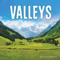 Title: Valleys, Author: Lisa J. Amstutz