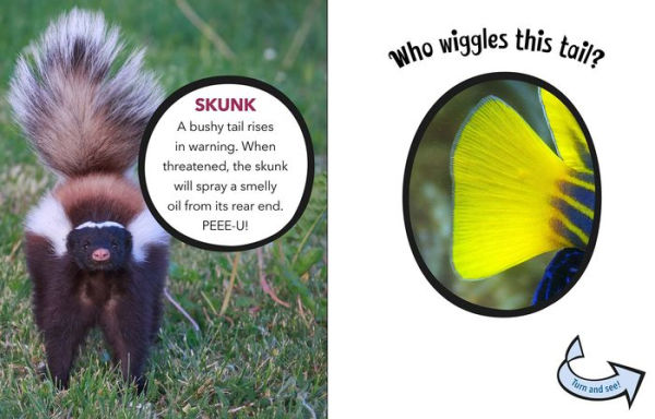 Who Wiggles This Tail?