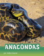 Anacondas