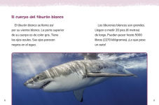Alternative view 5 of Tiburones blancos