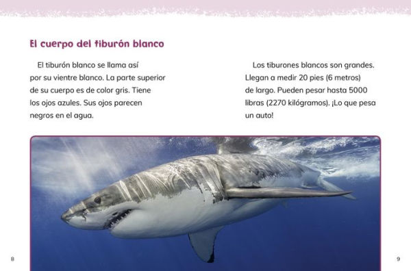 Tiburones blancos