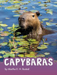 Alternative view 1 of Capybaras