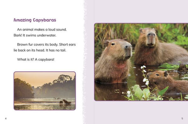 Capybaras