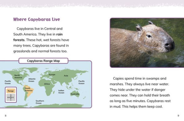 Capybaras